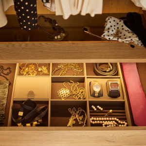 Rotu organizators atvilktnēm